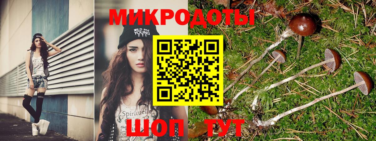 Чебаркуль  цена наркотик  Вход с VPN  Псилоцибиновые грибы мицелий 